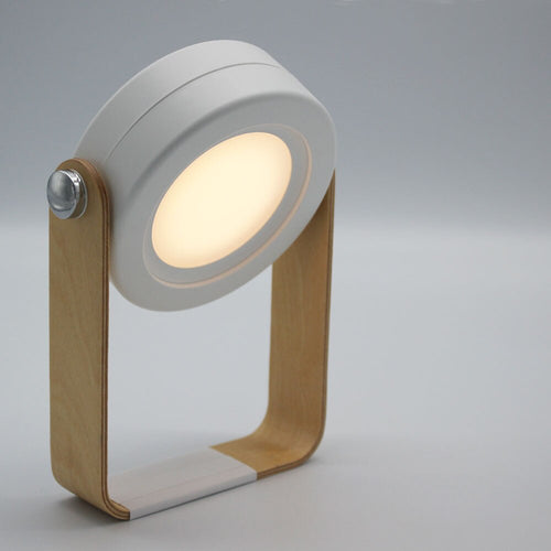 Battery Operated Wall Sconce Lantern