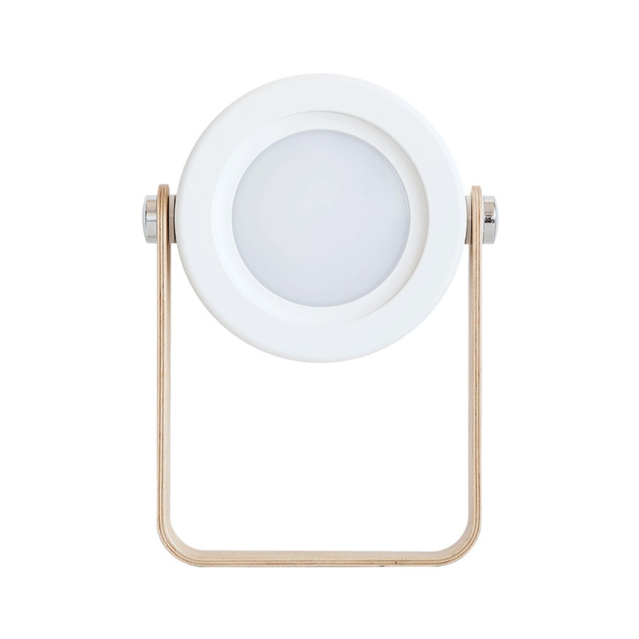 Battery Operated Wall Sconce Lantern